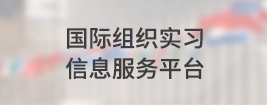 國際組織